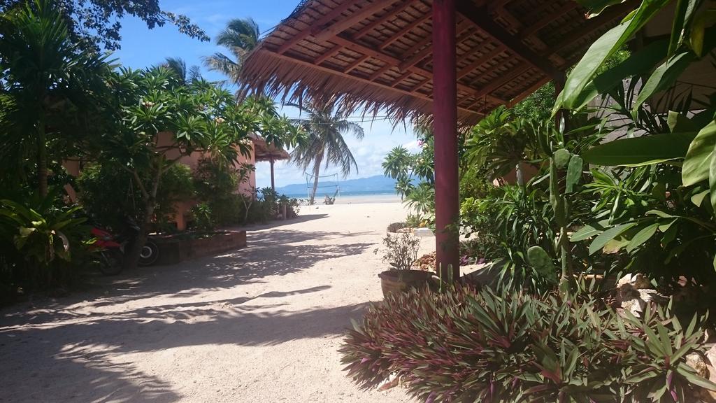 Papillon Bungalows Baan Tai Exteriér fotografie