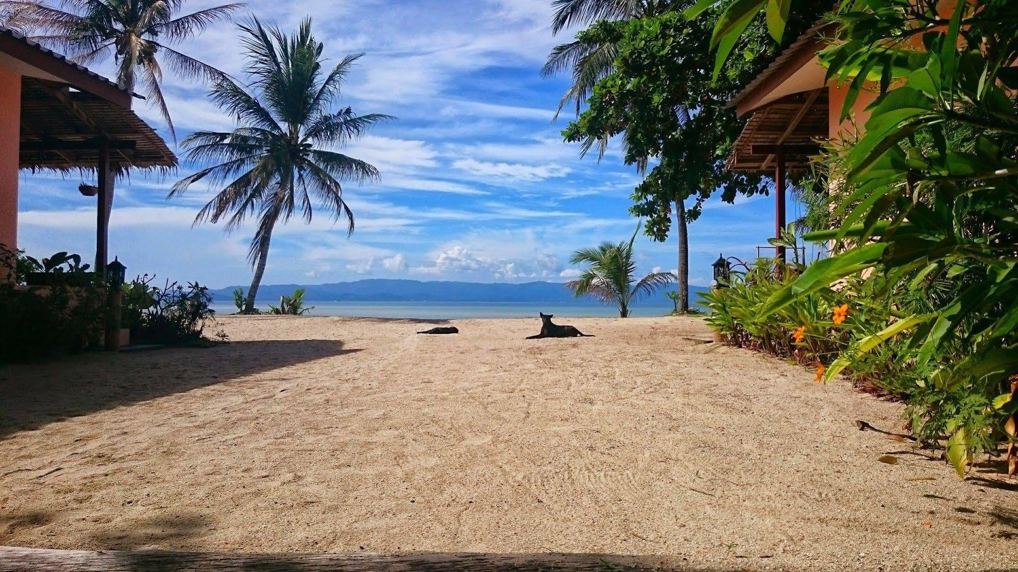 Papillon Bungalows Baan Tai Exteriér fotografie